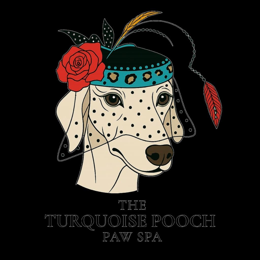 Turquoise Pooch Paw Spa
